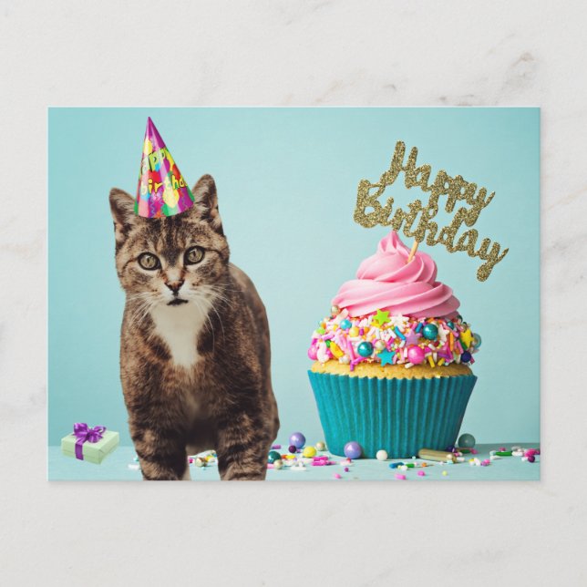 Funny Happy Birthday Cat with Cupcake Postcard (Front)