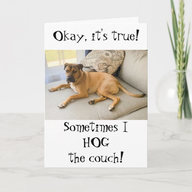 Funny Happy Birthday From the Dog Card (Front)