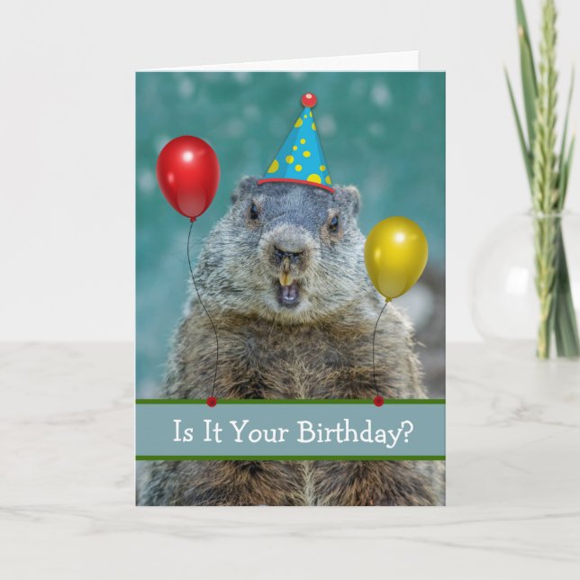 Funny Happy Birthday on Groundhog Day Again Card (Front)