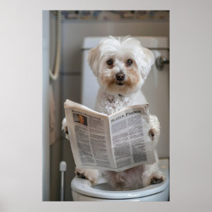 Funny Havanese Dog Print, Bathroom Newspaper Art Poster