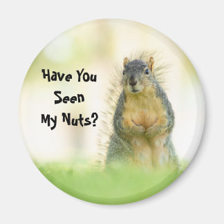 Funny Have You Seen My Nuts Squirrel Magnet