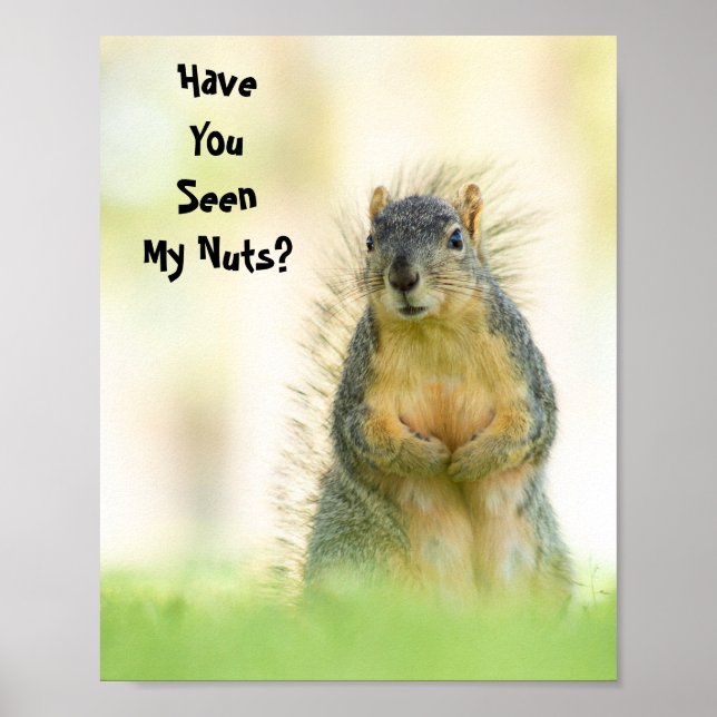 Funny Have You Seen My Nuts Squirrel Poster (Front)