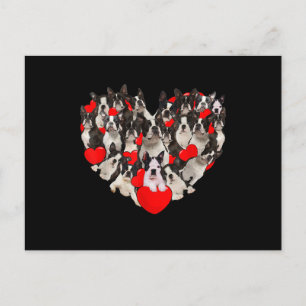 Funny Heart Love Boston Terrier Valentines Day Postcard