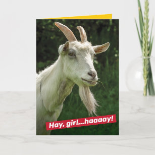 Funny Hey Girl, Hey Ryan Gosling Goat Spoof Card