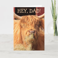 Funny Highland Cattle Father's Day