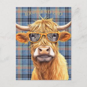 Funny Highland Cow Wearing Sunglasses Postcard