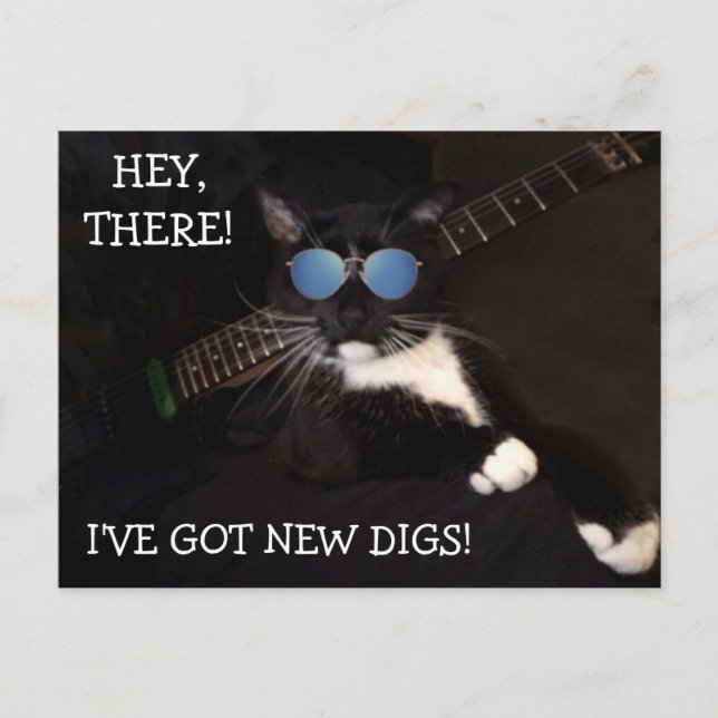 Funny Hip And Cool Cat Moving Postcard (Front)