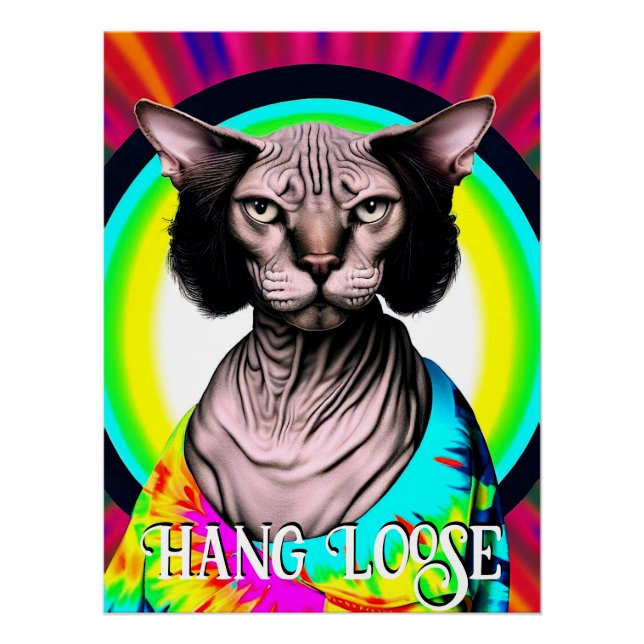 Funny Hippie Sphynx Cat Poster (Front)