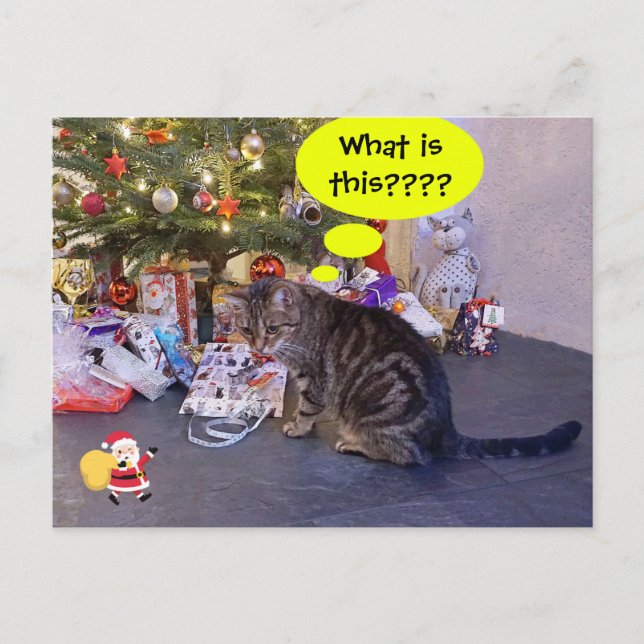 Funny holiday card with kitten and Santa Claus (Front)