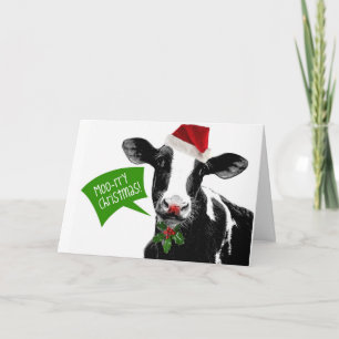 Funny Holiday Cow Merry Moo-rry Christmas Card