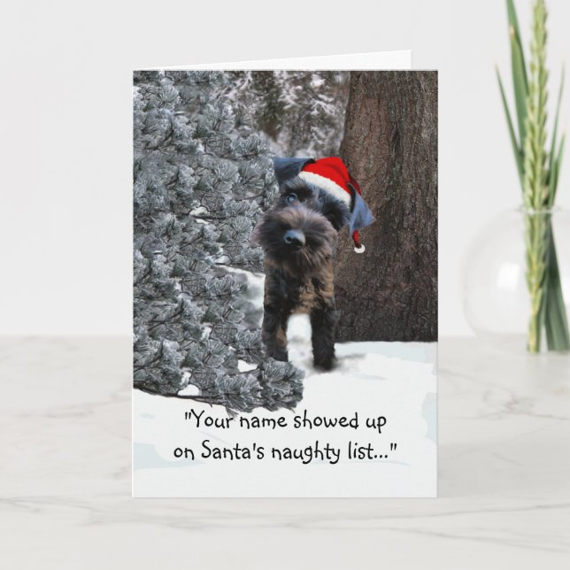 Funny Holiday Greeting Card w/ mini schnauzer (Front)
