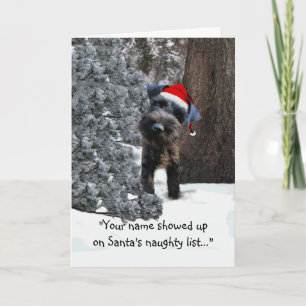 Funny Holiday Greeting Card w/ mini schnauzer