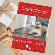 Funny Holiday Pet Holiday Card