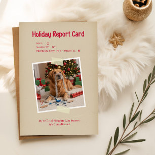 Funny Holiday Vintage Dog Photo Christmas Postcard