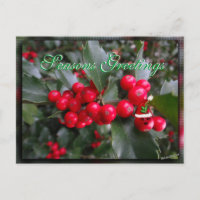 Funny Holly Postcard-customize