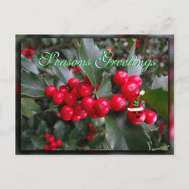 Funny Holly Postcard-customize Holiday Postcard (Front)