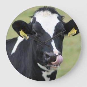 Funny Holstein cow wall clock