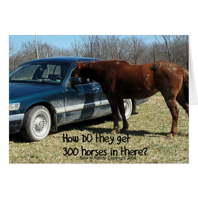 Funny Horse "300 Horse" (Front Horizontal)