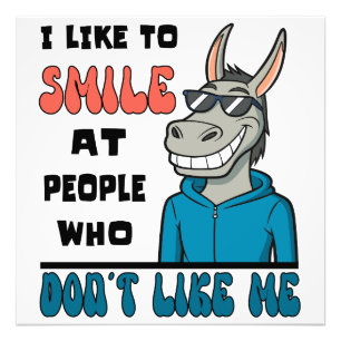 Funny Horse Donkey Smile At People Sarcastic Photo Print