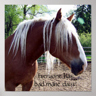 Funny Horse "Everyone Has Bad Mane Days" Poster