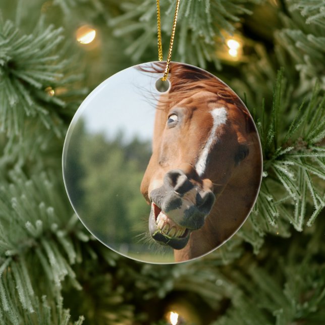 Funny Horse Face with Curled Lips, Crazy Eye Ceramic Ornament (Tree)
