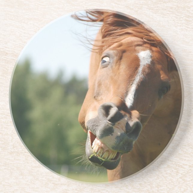 Funny Horse Face with Curled Lips, Crazy Eye Coaster (Front)