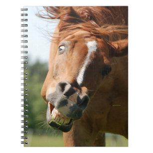 Funny Horse Face with Curled Lips, Crazy Eye Notebook