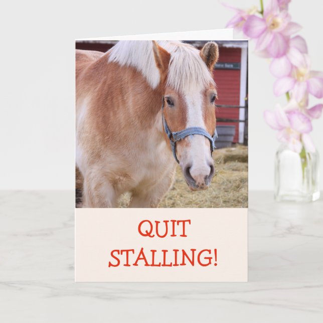 Funny Horse Joke Pun Obtenir Bonne Carte (Orchidée)