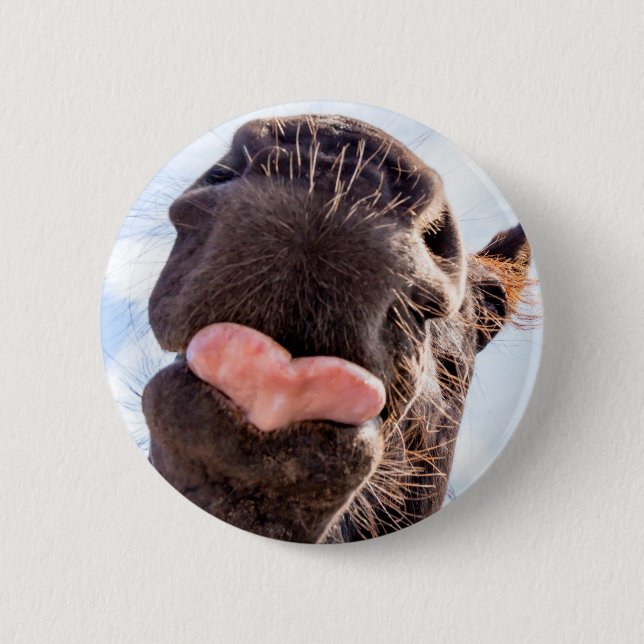 Funny Horse Lick Photograph 2 Inch Round Button (Front)