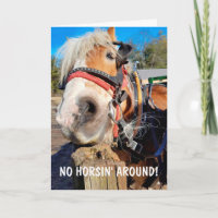 Funny Horse Pun Father's Day
