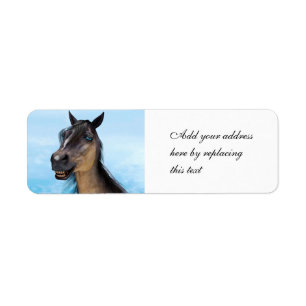 Funny Horse Smile Portrait Art