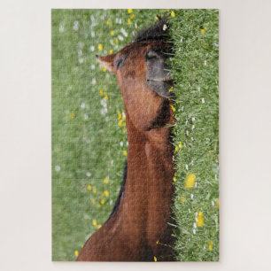 Funny Horse smiling in the grassy field Jigsaw Puzzle