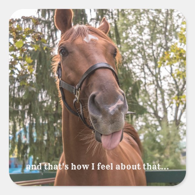 Funny Horse Sticking Out Tongue Photo Sticker (Front)