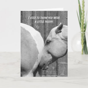 Funny Horse Thank You For The Encouragement
