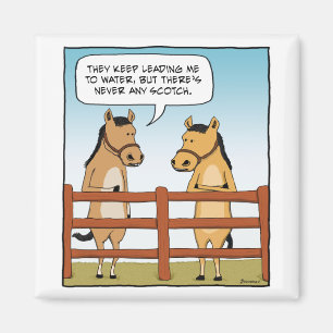 Funny Horse to Water magnet
