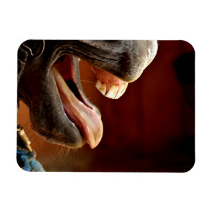 Funny Horse with Mouth Open, Tongue Sticking Out Magnet