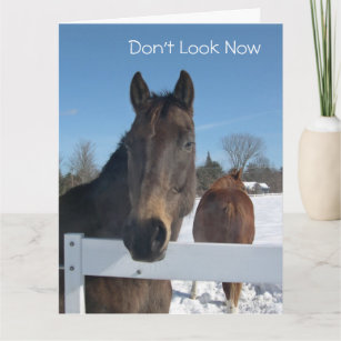 Funny Horses 50th Birthday From All Card
