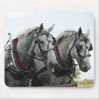 Funny Horses Mouse Pad