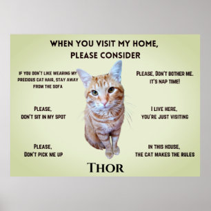 Funny House Rules (personalized with cat's photo) Poster