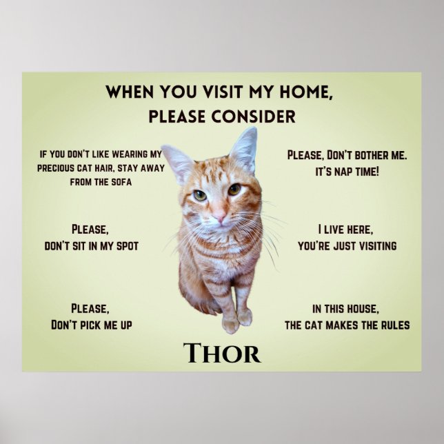 Funny House Rules (personalized with cat's photo) Poster (Front)