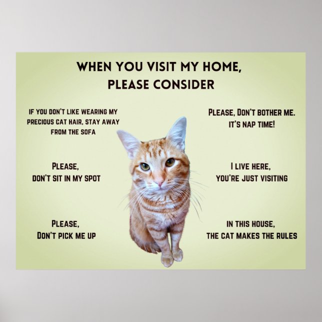 Funny House Rules (personalized with cat's photo) Poster (Front)