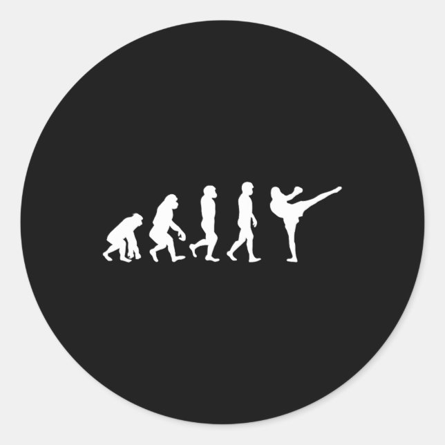 Funny Human Ape Gorilla Evolution Karate Boxing Ki Classic Round Sticker (Front)