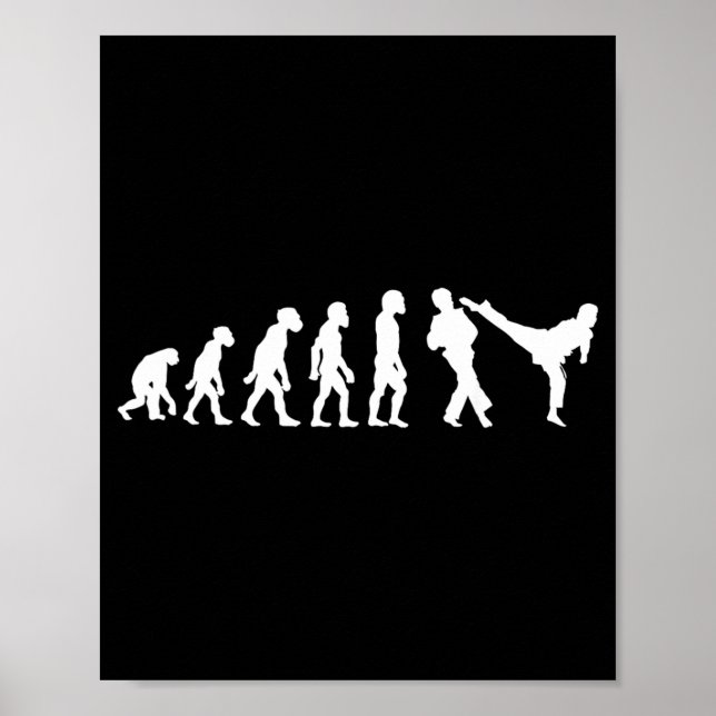 Funny Human Taekwondo Fighter Evolution Korean Poster (Front)