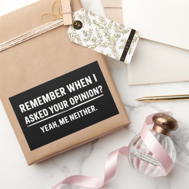 Funny Humour Remember When I Asked Your Opinion Sticker (Gifting)