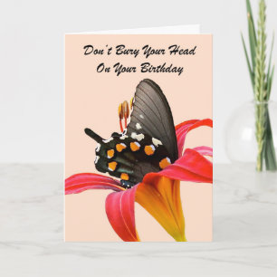 Funny, Humourous Butterfly Birthday Card