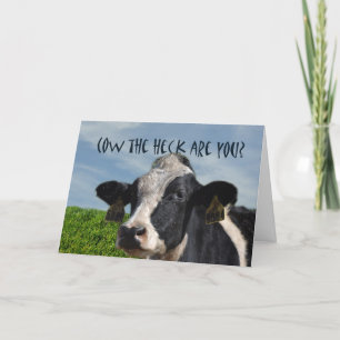 Funny Humourous Cow I Miss You Card