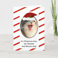 Funny Humourous Singing Cat Christmas