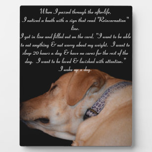 Funny Humourous Sleeping Labrador Retriever Plaque