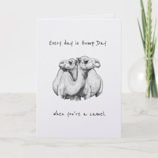 Funny Hump Day Camel Couple Anniversary Card