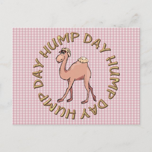 funny hump day camel postcard (Front)